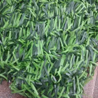 نمایندگی پخش چمن،فنس درگیلان