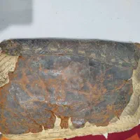 کتاب قدیمی دوره قاجار|کتاب و مجله تاریخی|مشهد, احمدآباد|دیوار