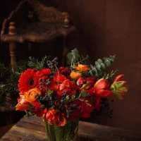 استخدام همکار خانم