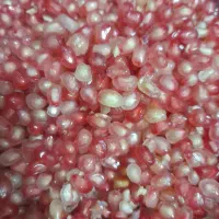 دونه انار|خوردنی و آشامیدنی|مهدی شهر, |دیوار