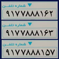 9177888162