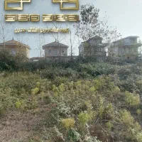 زمین-شهرکی-بر-اول-دریا-با-ویو-شالیزار-وآرامش-ساحل