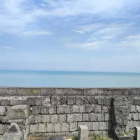 باغ-ساحلی-مناسب-برای-برج-سازی-منطقه-برج-رومئو