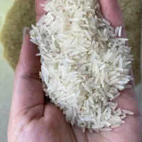 برنج فجر سوزنی ۹۰روزه درجه یک