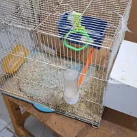 تخت نیمکت فرش وموکت|تخت و صندلی بچه|مشهد, ابوذر|دیوار