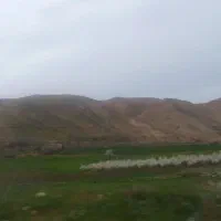آپارتمان فروشی