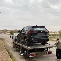 وایلدلندر ۲۰۲۵