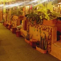 کافه و رستوران ملودی صدرا