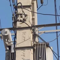 فروش مرغداری و زمین کشاورزی یک جا