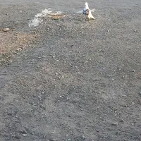 عکس نمایشی توضیحات بخونید