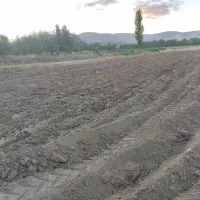 فروش زمین زراعی به متراژ ۳۲۰۰ در کهریز