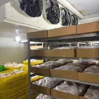 طراحی و ساخت سردخانه های بالای صفر و زیر صفری|ماشین‌آلات صنعتی|بندرعباس, |دیوار