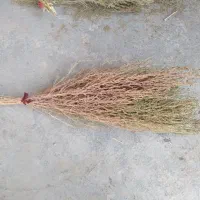 بهترین جارو|لوازم نظافت|فیروزآباد (لرستان), |دیوار