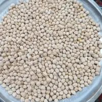 نخود سفید پاک شده