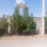 ۶۲۵ممترزمین سند اقدسیه،افشاریه، همنوش، دهکده ورزشی|فروش زمین و ملک کلنگی|هشتگرد, شهرک اقدسیه|دیوار