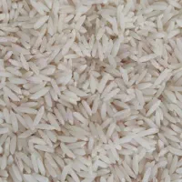برنج طارم محلی لرستان