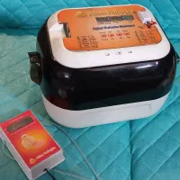 دستگاه جوجه کشی آلتین کولوشکا