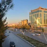 4-قصب-تجاری-دو-کله-جمهوری-الهیه-پزشک
