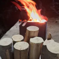 چوب برای اتش به صورت بسته بندی شیک و فله