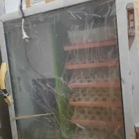 دستگاه جوجه کش 254تایی