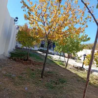 فروش ویلا تکمیل زین اباد|فروش خانه و ویلا|صوفیان, |دیوار