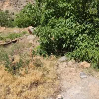 باغ سیسخت|فروش زمین و ملک کلنگی|سی‌سخت, |دیوار