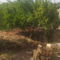 باغ در روستای اندیس|فروش خانه و ویلا|قم, ولیعصر|دیوار