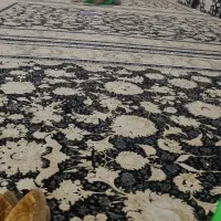 فرش|فرش|تربت جام, شاد|دیوار