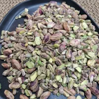 بستنی سنتی برای پذیرایی های شما