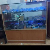 تعدادی میزوویترین|بوفه، ویترین، کنسول|صدرا-فارس, فاز ۱|دیوار