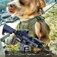 مربی سگ|خدمات آموزشی|اصفهان, جلفا|دیوار