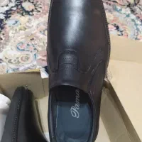 کفش پاما|کیف، کفش، کمربند|رشت, شهرک قدس|دیوار