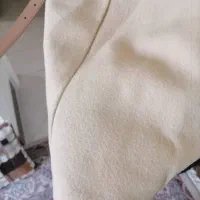 پالتو
