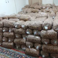 فروش خرمای عمده قصرشیرین|عمدهفروشی|قصرشیرین, |دیوار