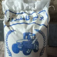 برنج کامفیروزی