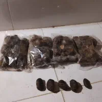 انبرنسا|آرایشی، بهداشتی، درمانی|بوئین و میاندشت, |دیوار