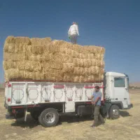 کاه کلش ۳۰۰ بسته|خدمات باغبانی و درختکاری|اسلام‌‌آباد غرب, |دیوار