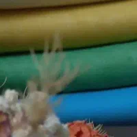 روسری نخ|لباس|تهران, نیکنام|دیوار