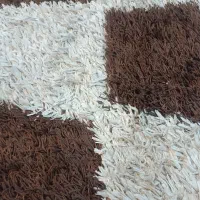 فرش چهار متری|فرش|شیراز, دشت چنار|دیوار