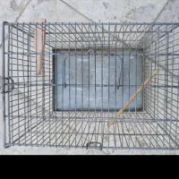 قفس سهره قدیمی
