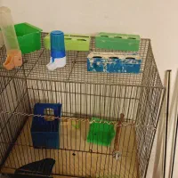 قفس پرنده با لوازم جانبی