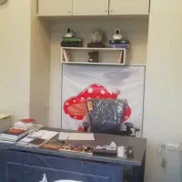 مغازه ۱۴متری|اجارهٔ مغازه و غرفه|تهران, منیریه|دیوار