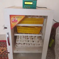 دستگاه جوجه کشی