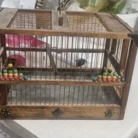 قفس سیحره چوبی نو|لوازم جانبی حیوانات|تبریز, |دیوار