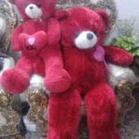 دوعددشاسقین درحدنوبه فروش میرسد