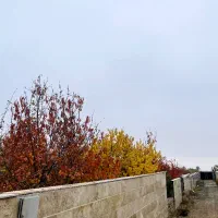 زمین شهرکی کردان فشند 665 متر چسب بافت|فروش زمین و ملک کلنگی|هشتگرد, فشند|دیوار