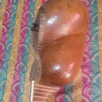 تار حرفه ای کاسه توت بزرگ ده ساله|سازهای سنتی|تهران, وردآورد|دیوار