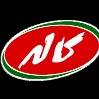 نیروی ساده موتور سوار
