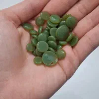 وکس عدسی یا مرواریدی