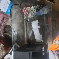 اکواریوم شرکتی همراه با مهتابی و تصفیه|ماهی|همدان, |دیوار